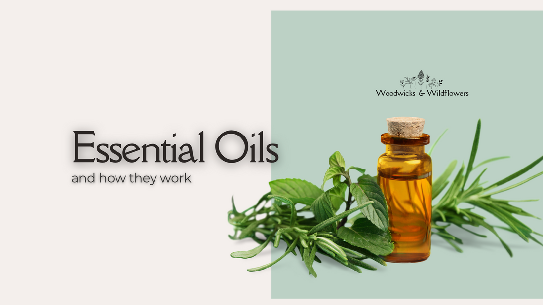 How do Essential Oils actually work?